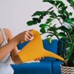 potisma - Ποτίζεις τα φυτά σου… ή τα πνίγεις; Πώς ξεχωρίζεις το υπερβολικό πότισμα και τι να κάνεις!