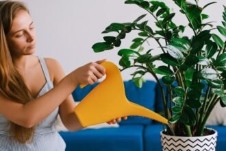 potisma - Ποτίζεις τα φυτά σου… ή τα πνίγεις; Πώς ξεχωρίζεις το υπερβολικό πότισμα και τι να κάνεις!