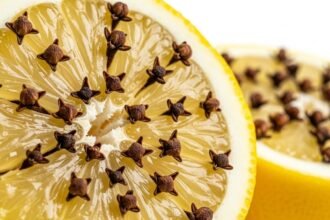 λεμόνι με γαρύφαλο - Το κόλπο με το λεμόνι και το γαρίφαλο που διώχνει τις μύγες