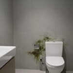 Καθαρό μπάνιο με έμφαση στους κινδύνους από μύκητες κάτω από το χαλάκι.