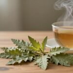 Δried lemon balm leaves and herbal tea