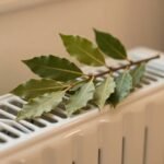 Φύλλα δάφνης τοποθετημένα πάνω στο καλοριφέρ, δημιουργώντας μια ζεστή ατμόσφαιρα στο σπίτι.