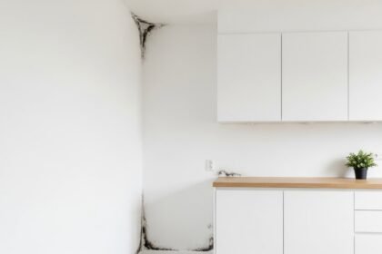 μούχλα - Πείτε αντίο στη μούχλα με έναν ανέλπιστα απλό τρόπο