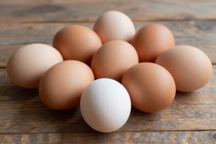 Φρέσκα αυγά σε διάφορα χρώματα σε ξύλινο τραπέζι.