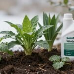 Διάφορα φυτά που χρειάζονται λίπασμα κατά την χειμερινή περίοδο.