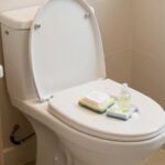 Πεντακάθαρη τουαλέτα με φυσικά καθαριστικά υλικά.