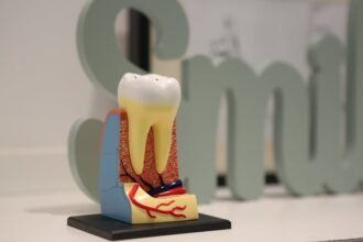 Close-up of a realistic dental model showing tooth anatomy with the word 'smile' in the background.