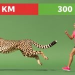 ζώα - 13 Εξωπραγματικά γεγονότα για τα ζώα που δεν θα πιστεύετε ότι είναι αληθινά