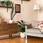 b5 houseplants ind feat - Ποιο είναι το ιδανικό φυτό για το σπίτι σας με βάση το ζώδιό σας