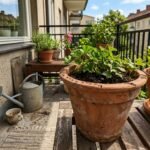 garden featured 1782287169856 - Πώς να διώξετε με φυσικό τρόπο τα ενοχλητικά μυρμήγκια από τις γλάστρες του μπαλκονιού