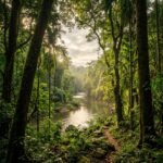 jadav payeng featured - Ο «Άνθρωπος των Δασών» της Ινδίας: Πώς ένας άνδρας φύτεψε μόνος του ένα ολόκληρο δάσος μεγαλύτερο από το Central Park