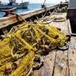 lago fishing net inline2 1782242601066 - Λαγοκέφαλος: Αν δεν σταματήσει αυτός ο εισβολέας, αυτά τα 3 θαλασσινά θα γίνουν σύντομα «είδος πολυτελείας»