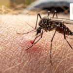 mosquito skin featured 169 - Αυτό είναι το φυτό που πρέπει να έχετε στη βεράντα σας για να απαλλαγείτε από τα κουνούπια το καλοκαίρι
