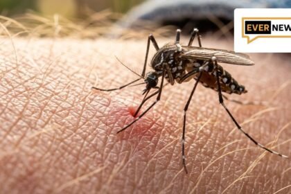 mosquito skin featured 169 - Αυτό είναι το φυτό που πρέπει να έχετε στη βεράντα σας για να απαλλαγείτε από τα κουνούπια το καλοκαίρι