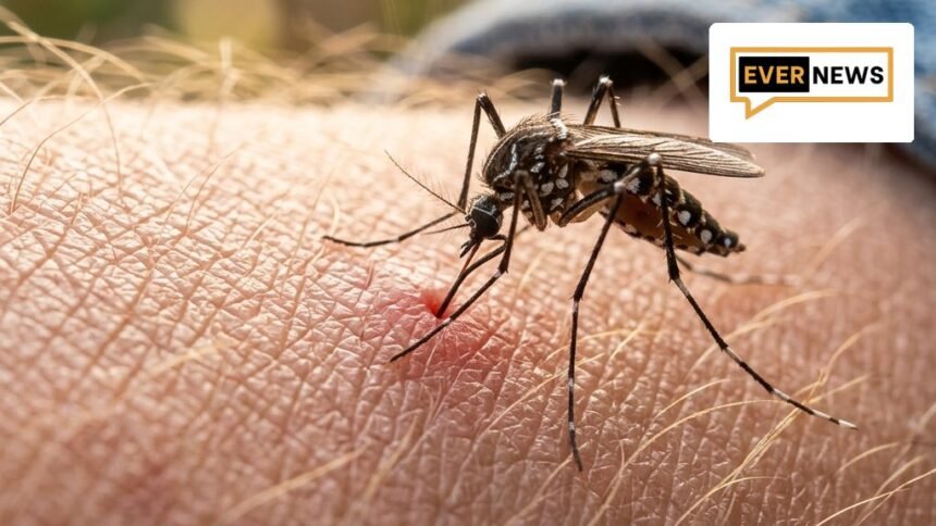 mosquito skin featured 169 - Αυτό είναι το φυτό που πρέπει να έχετε στη βεράντα σας για να απαλλαγείτε από τα κουνούπια το καλοκαίρι