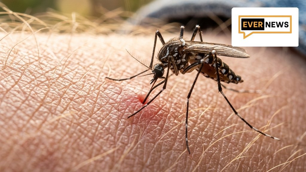 mosquito skin featured 169 - Αυτό είναι το φυτό που πρέπει να έχετε στη βεράντα σας για να απαλλαγείτε από τα κουνούπια το καλοκαίρι