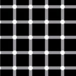 scintillating grid illusion optiki pseydaisthisi featured - Το "Σπινθηροβόλο Πλέγμα": Η οφθαλμαπάτη με τις κουκκίδες που αναβοσβήνουν και "παίζουν" με τα μάτια σου