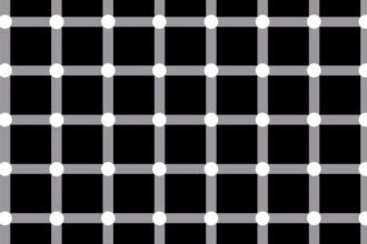 scintillating grid illusion optiki pseydaisthisi featured - Το "Σπινθηροβόλο Πλέγμα": Η οφθαλμαπάτη με τις κουκκίδες που αναβοσβήνουν και "παίζουν" με τα μάτια σου