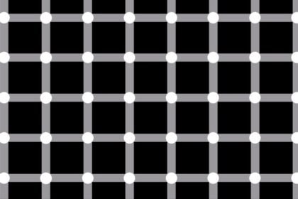 scintillating grid illusion optiki pseydaisthisi featured - Το "Σπινθηροβόλο Πλέγμα": Η οφθαλμαπάτη με τις κουκκίδες που αναβοσβήνουν και "παίζουν" με τα μάτια σου