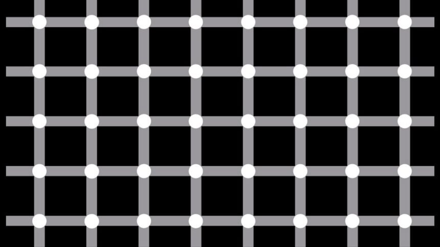 scintillating grid illusion optiki pseydaisthisi featured - Το "Σπινθηροβόλο Πλέγμα": Η οφθαλμαπάτη με τις κουκκίδες που αναβοσβήνουν και "παίζουν" με τα μάτια σου