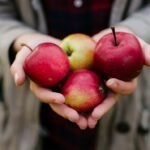 person holding four red apples