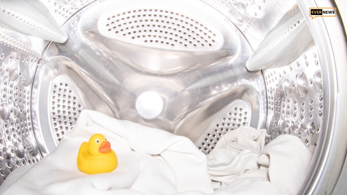 Cleaning washing machine rubber seal with vinegar and sponge