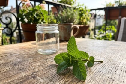 garden mint featured 1784015973895 - Το έξυπνο κόλπο για να γεμίσετε το μπαλκόνι σας με δυόσμο από ένα μόνο κλωναράκι
