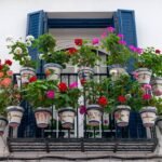 Γεράνια σε γλάστρα σε ηλιόλουστο μπαλκόνι