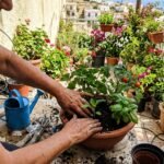 10 εργασίες που κάνουμε το καλοκαίρι στον κήπο