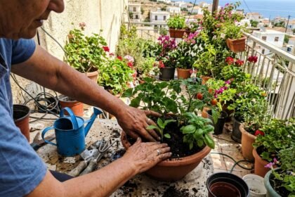 10 εργασίες που κάνουμε το καλοκαίρι στον κήπο