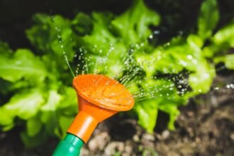 Bright garden scene with water spray on lush green plants, captured in vibrant detail.