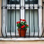 Παράθυρο με καμπυλωτές σιδεριές και κόκκινα γεράνια